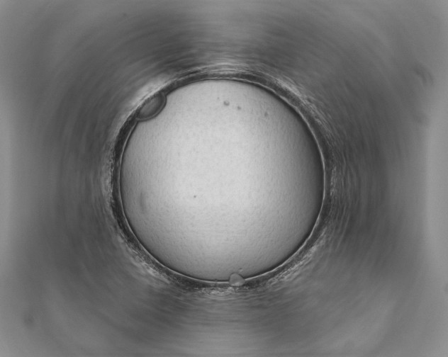 X0000111911410200908101151