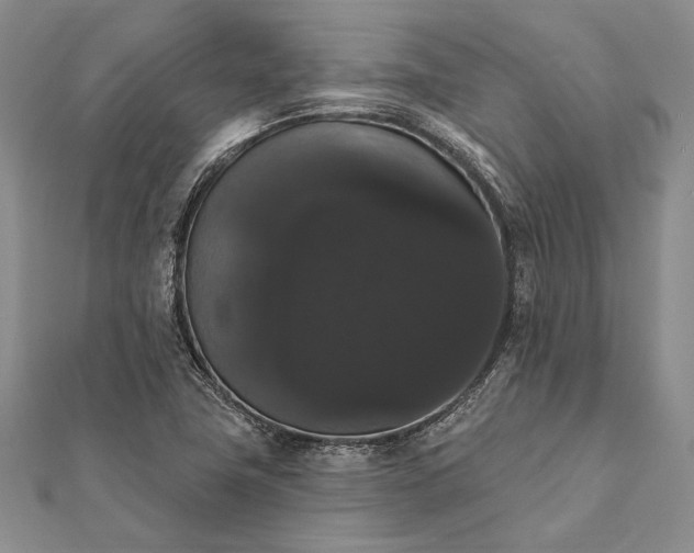 X0000111911411200908101151