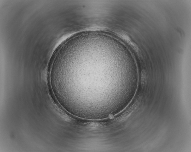 X0000111911412200908101151