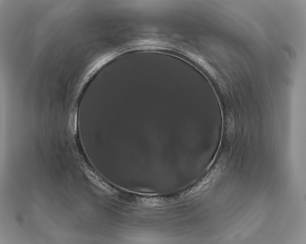 X0000111911413200908101151