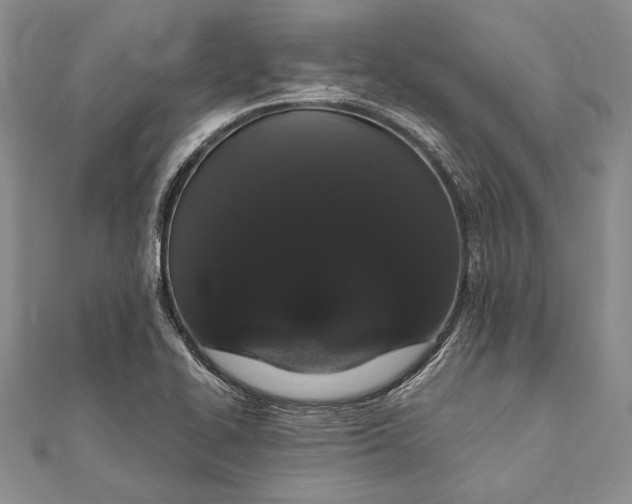 X0000111911414200908101151