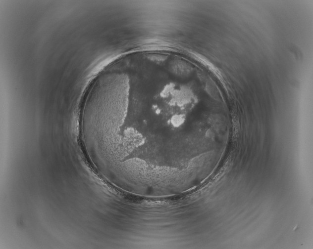 X0000111911415200908101151