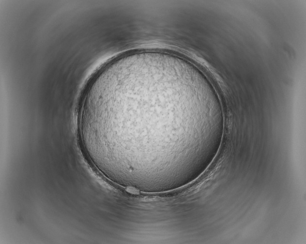 X0000111911416200908101151