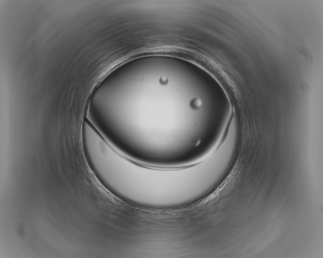 X0000111911417200908101151