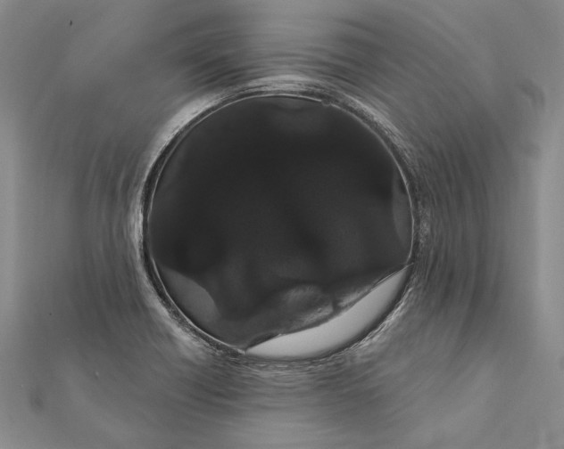 X0000111911418200908101151