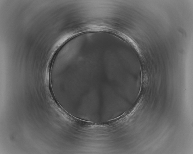 X0000111911419200908101151