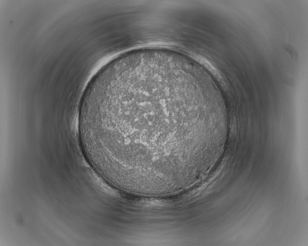 X0000111911420200908101151