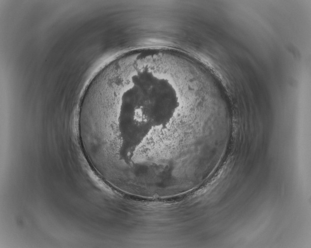 X0000111911421200908101151