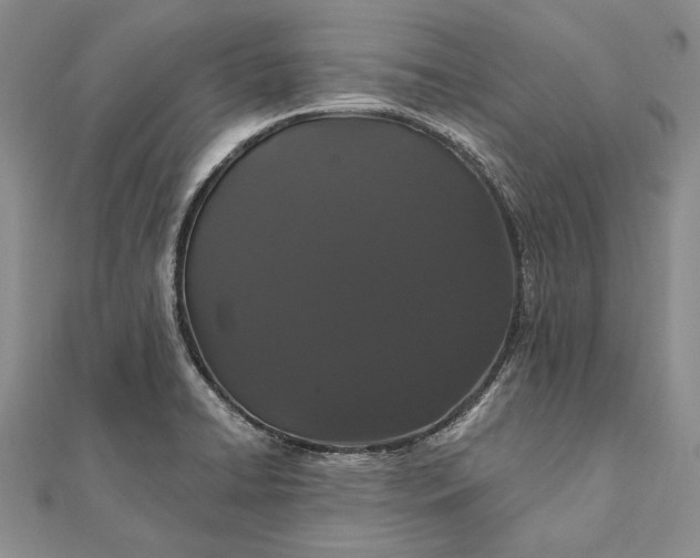 X0000111911422200908101151