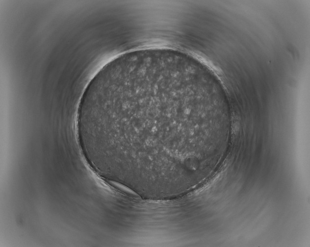 X0000111911423200908101151