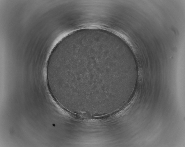 X0000111911424200908101151