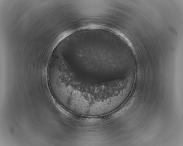 X0000111911425200908101151