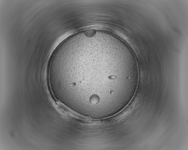 X0000111911426200908101151