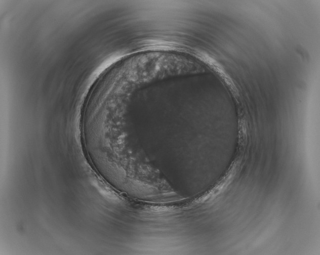 X0000111911427200908101151