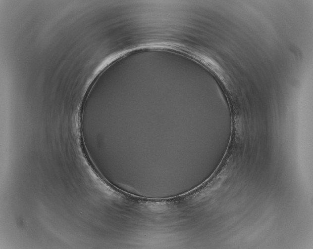 X0000111911428200908101151