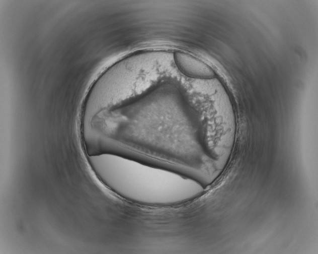 X0000111911429200908101151