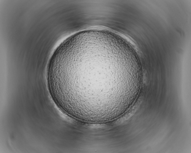 X0000111911430200908101151