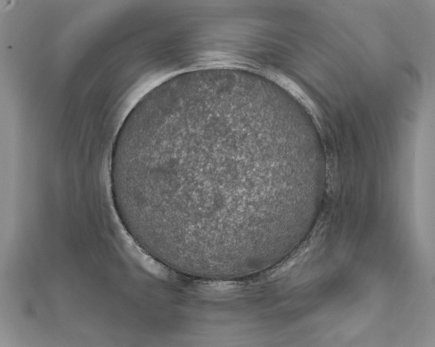 X0000111911431200908101151