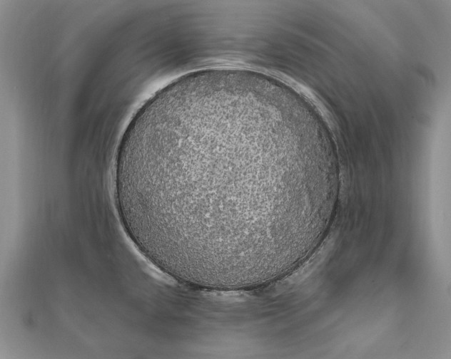 X0000111911432200908101151