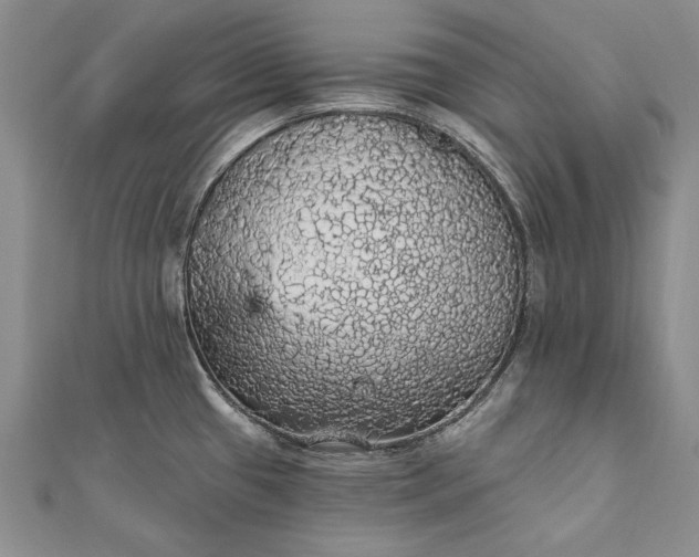 X0000111911433200908101151