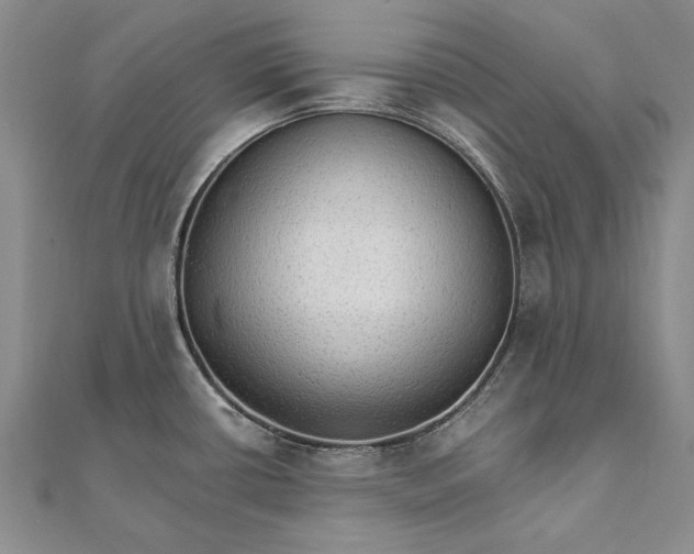 X0000111911434200908101151