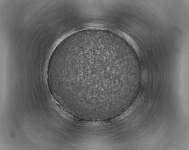 X0000111911435200908101151