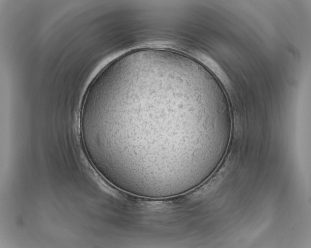 X0000111911436200908101151