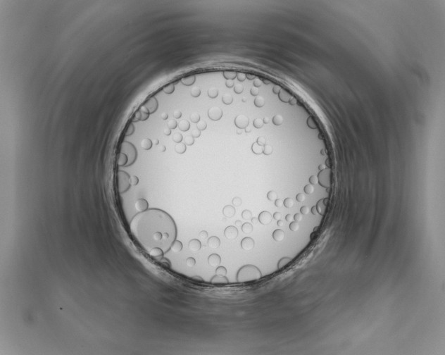 X0000111911437200908101151