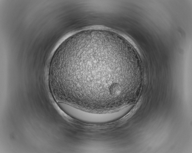 X0000111911438200908101151