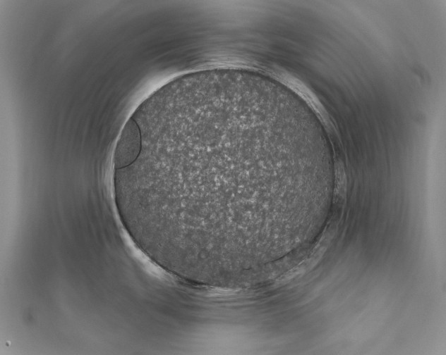 X0000111911439200908101151