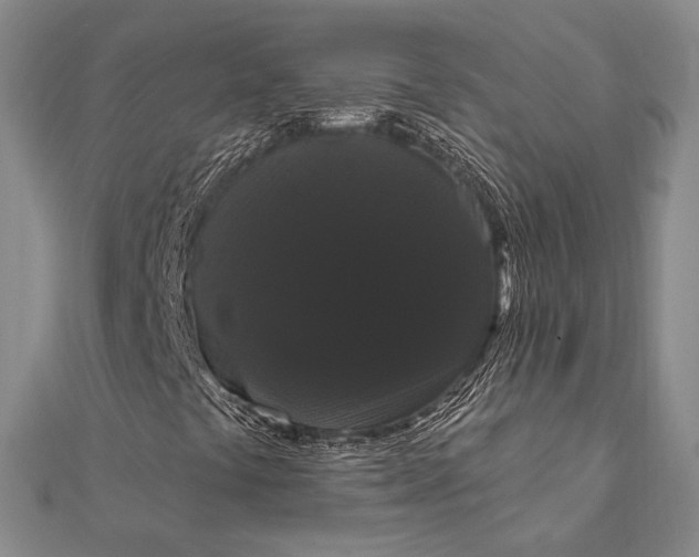 X0000111911441200908101151