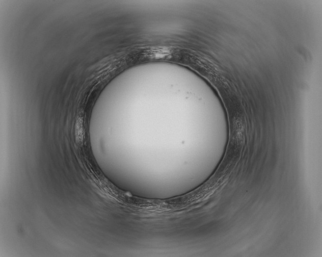 X0000111911442200908101151