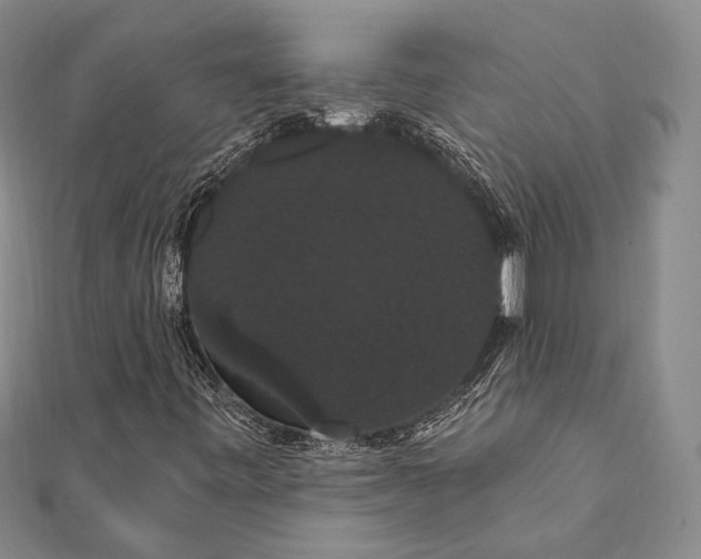 X0000111911443200908101151