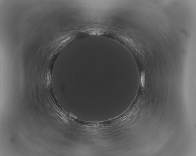 X0000111911444200908101151