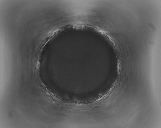 X0000111911445200908101151