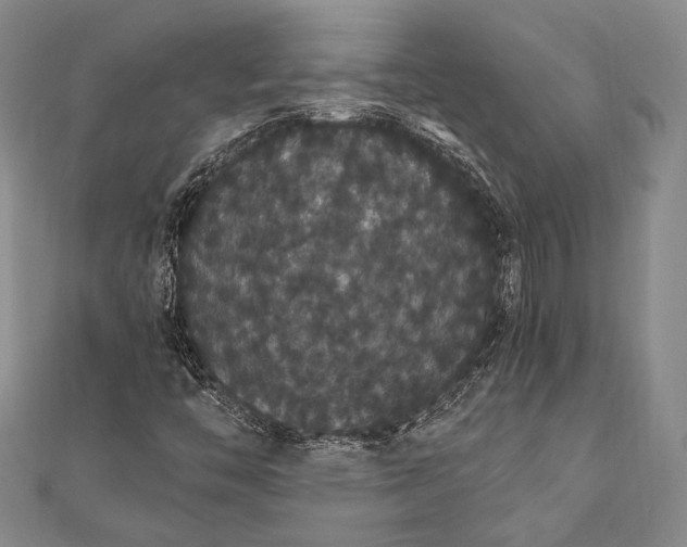 X0000111911446200908101151