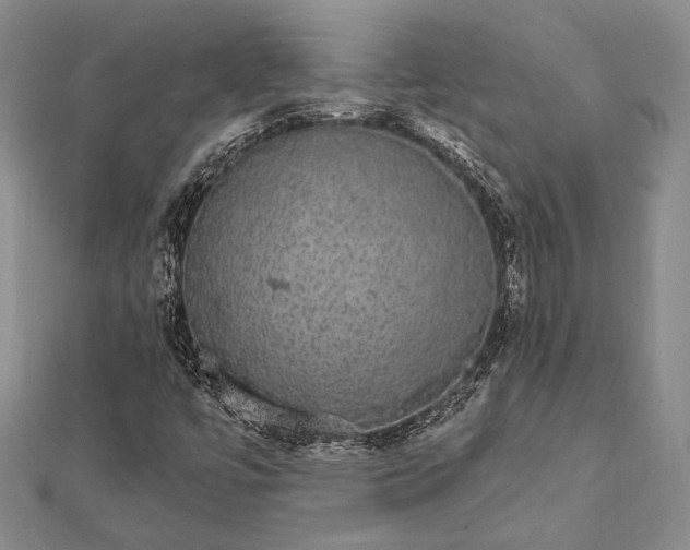 X0000111911447200908101150