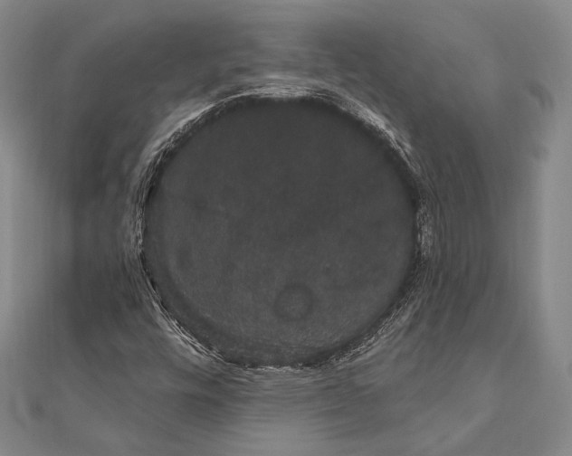 X0000111911448200908101150