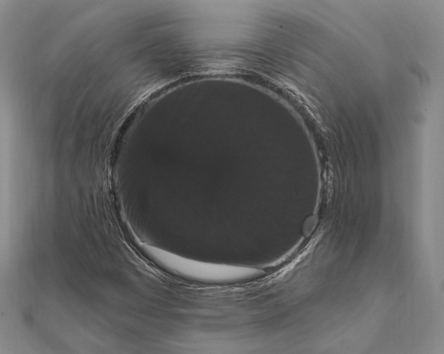 X0000111911449200908101150