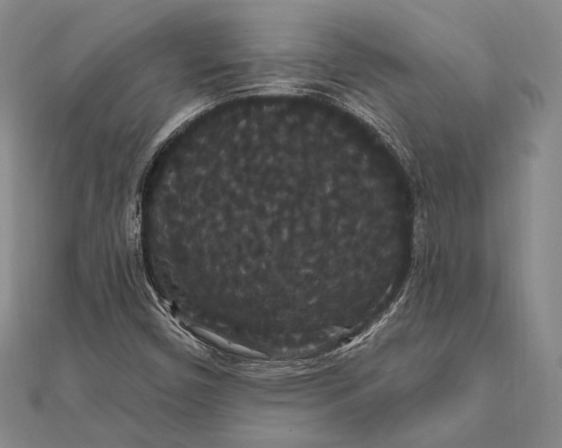 X0000111911450200908101150