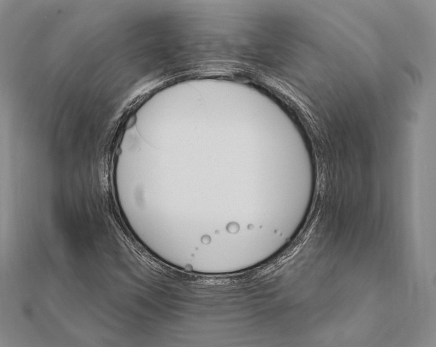 X0000111911451200908101150