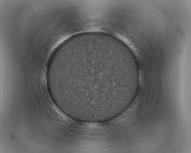 X0000111911452200908101150