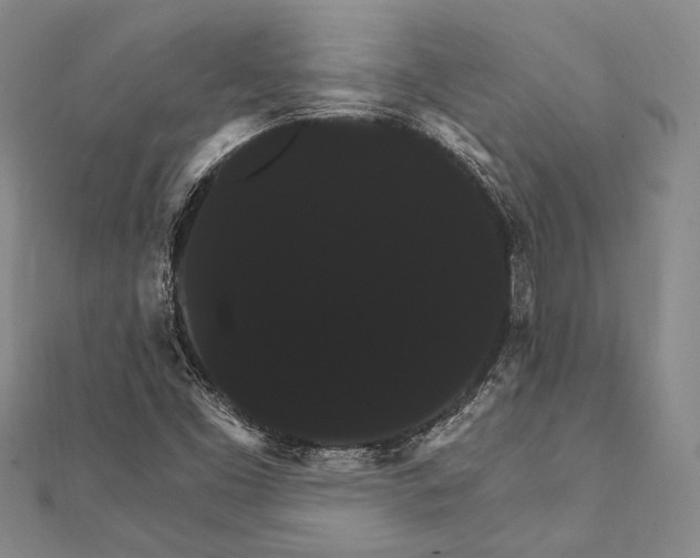 X0000111911453200908101150