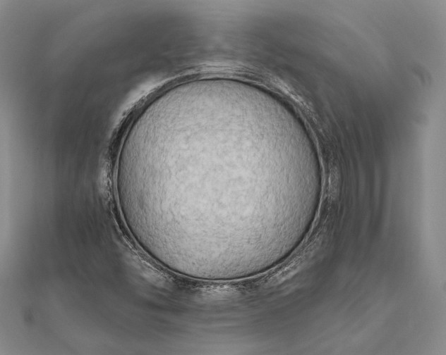 X0000111911454200908101150