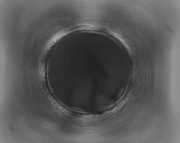 X0000111911455200908101150