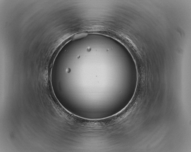 X0000111911457200908101150