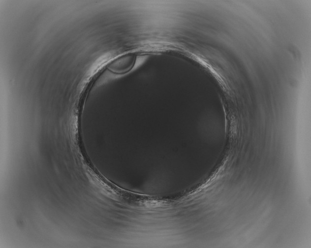 X0000111911459200908101150