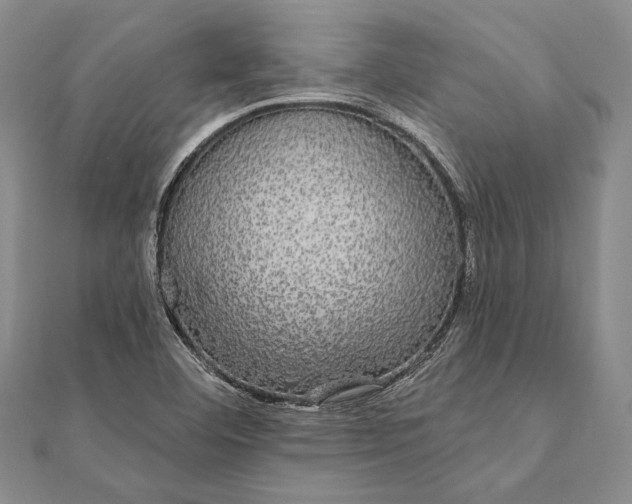 X0000111911460200908101150