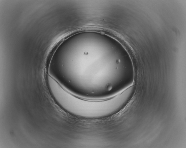 X0000111911461200908101150