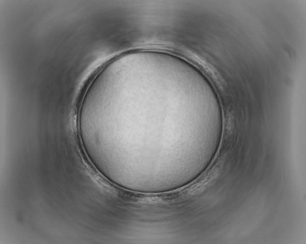 X0000111911462200908101150